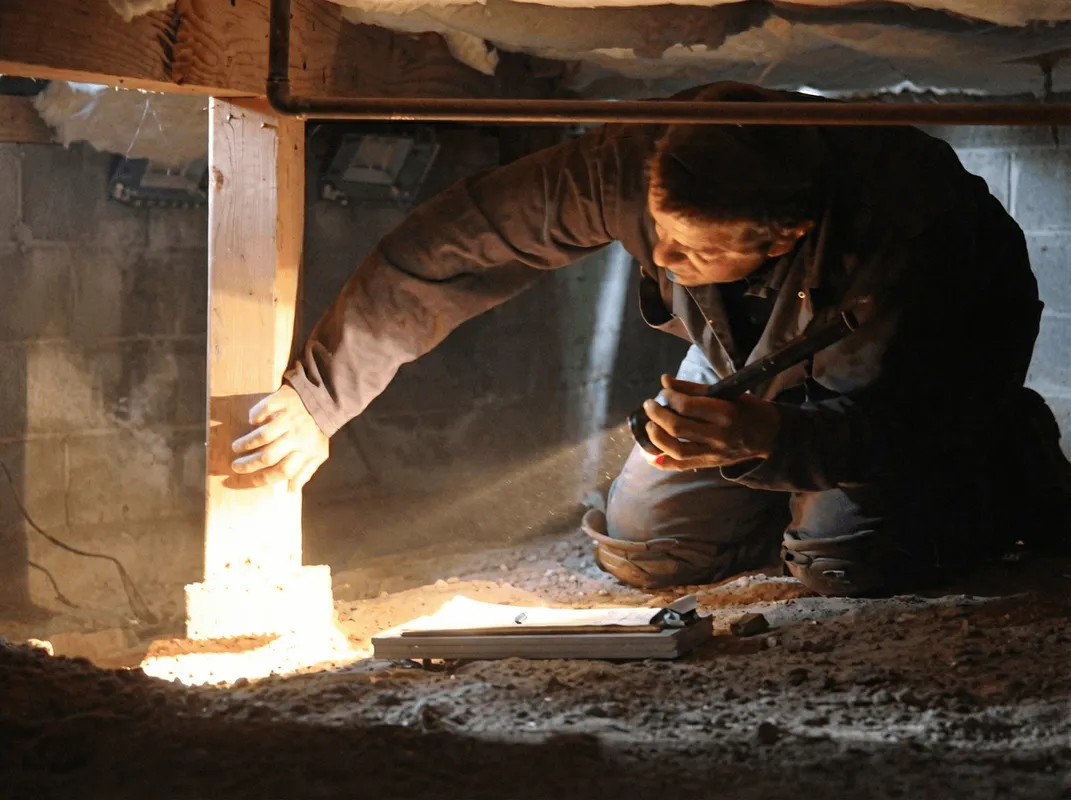 A professional inspecting wooden beams under the floor of a structure in San Jose, CA